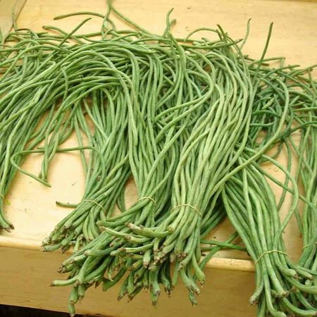 Asparagus Green Podded, Organic Bean Seeds image number null